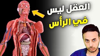 Download lagu النفس يجب أن تخرج من الجسد يوميا قبل أن تدمره / العقل ليس في الرأس / الفؤاد و طائر العنق mp3