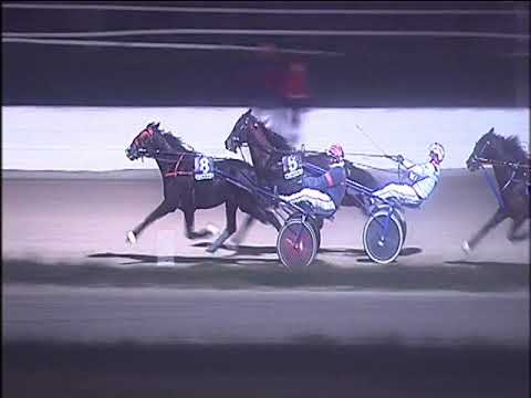 Trotto 17/01/2020 - 7ª corsa