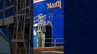 carnival Mardi Gras #turksandcaicosisland come for the fun stay for the culture #viral