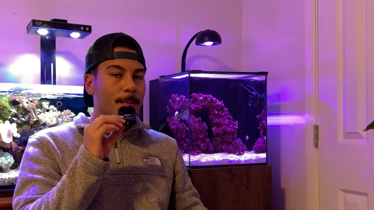 7 Reef Tank Lessons Beginners Should Follow Before Buying More Gear