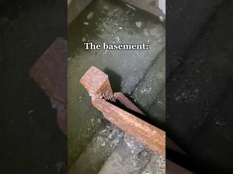 We weren’t expecting to find brain eating amoeba…