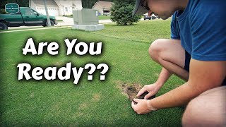 Be PREPARED For This Lawn ISSUE in 2024