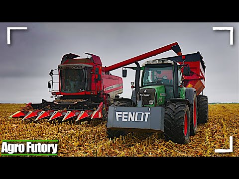 🇵🇱 Koszenie Kukurydzy 2020 | Massey Ferguson 7260 | Fendt 820 | Metaltech PP14 | GR Pokrywka |