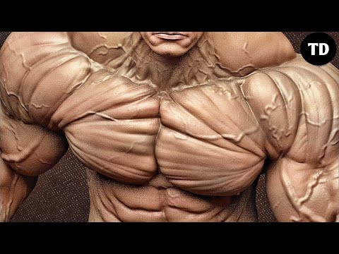 The Biggest Chest - Chest Day with Arnold Schwarzenegger