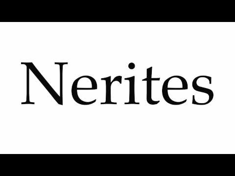 How to Pronounce Nerites