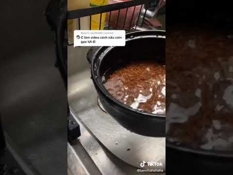 cách nấu gạo lứt