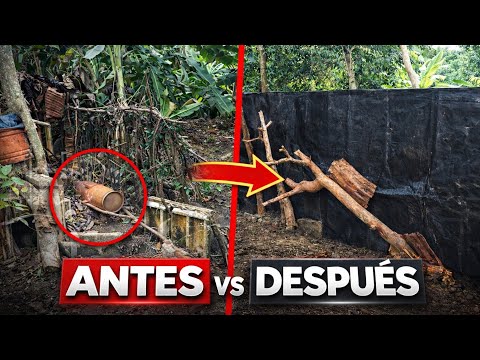 Reestructurando La Barrera Del Gallinero | Parte 1 – Así Comenzó Todo 🐔