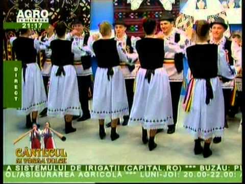 ANSAMBLUL CRAISORII MOTILOR - Dans 2