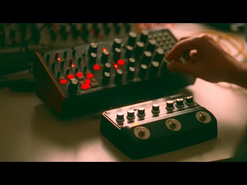 Moog Subharmonicon + Boss DM101 // Analog does it better.