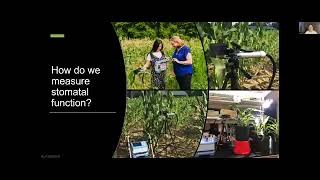 Le Liu  |  University of Massachusetts - Amherst  |  Department of Biology