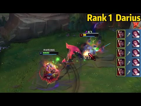 Rank 1 Darius: He Makes a Master Fiora Lose His Mind!