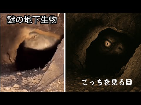 ネットを騒がせた謎映像、その真実を暴く(解説)