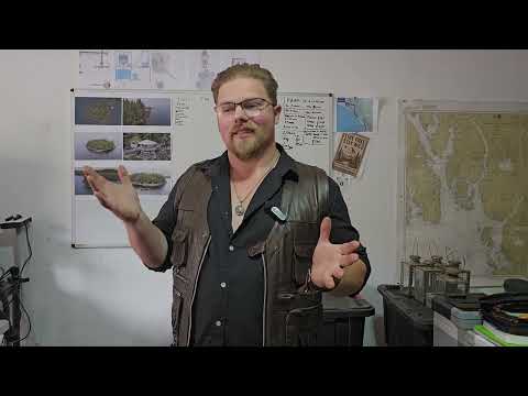 The introduction of Noah DC Brown