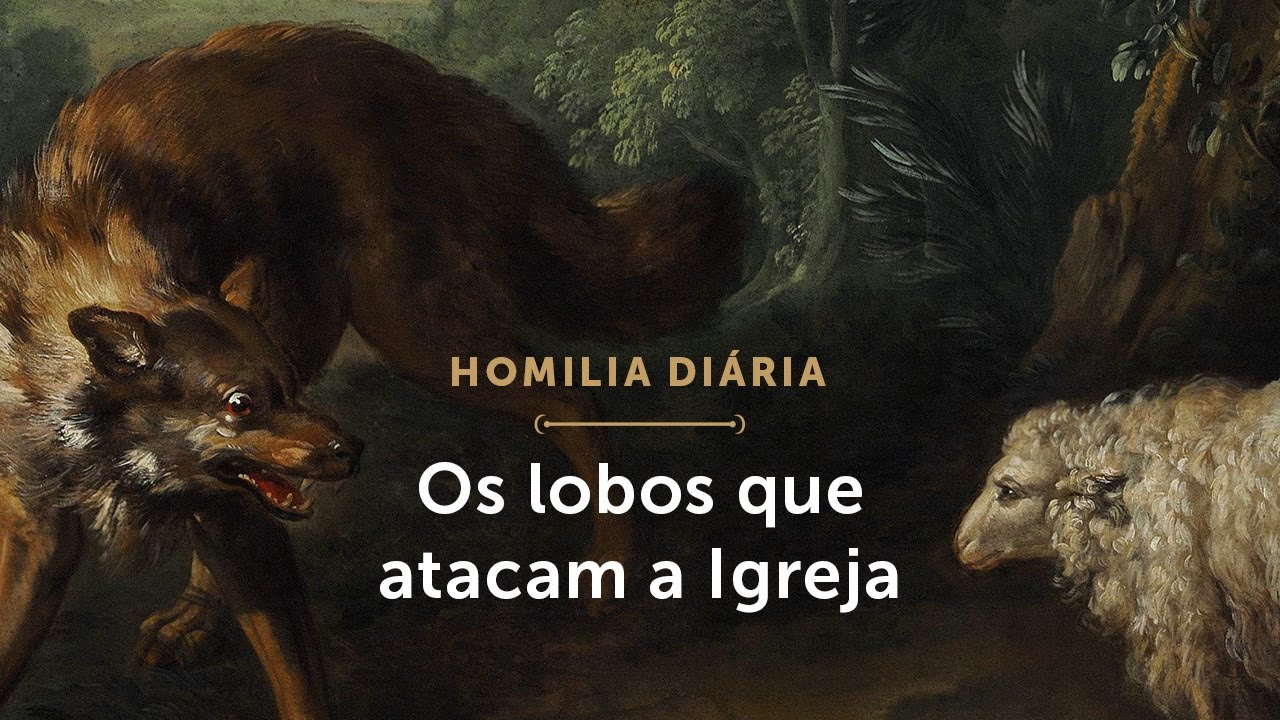 Homilia Diária | Cuidado com os lobos que atacam a Igreja (Segunda-feira da 4.ª Semana da Páscoa)