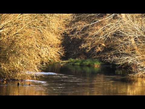 Arthur Simms - It's Only Mystery