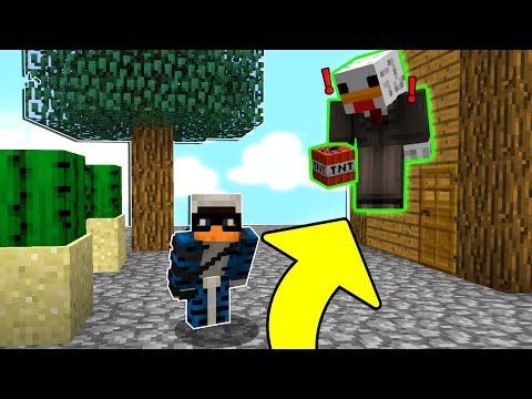 BELLAFACCIA HA BARATO - VANILLA INSIEME