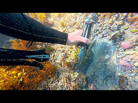 UNDERWATER Metal Detecting Before Bondi Beach Shooting Attack