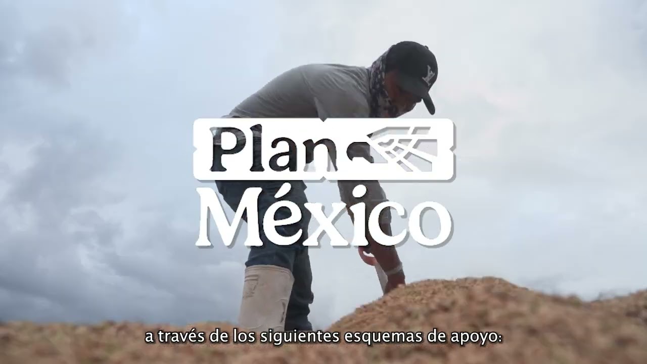 Atención productores de arroz de Nayarit, esta información puede ser de su interés.