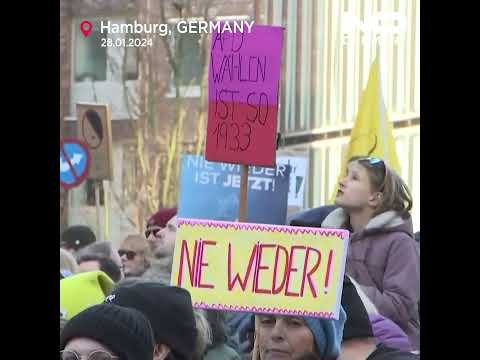 Tens of thousands pack into a protest in Hamburg against Germany's far right