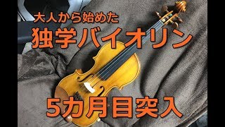 大人からの独学バイオリン練習 半年未満