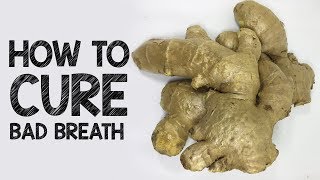 How To Cure Bad Breath Permanently | What To Drink To Get Rid of Bad Breath