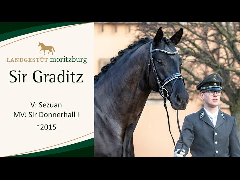 SIR GRADITZ v. Sezuan - Sir Donnerhall I