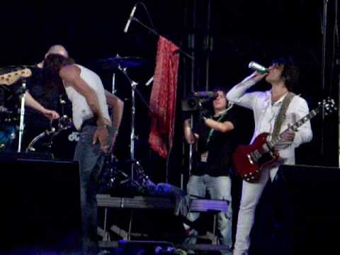 New York Dolls.Tribute Johnny Thunders