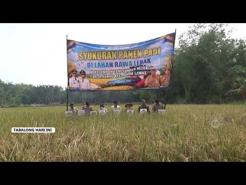 Optimalkan Produksi Padi, Pemkab Akan Siapkan Bibit Yang Tahan di Musim Kemarau