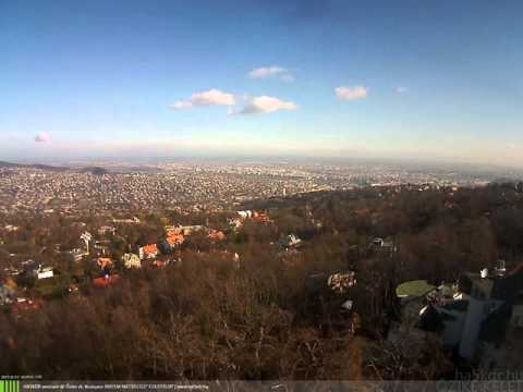 Őzike kelet 2015-11-12