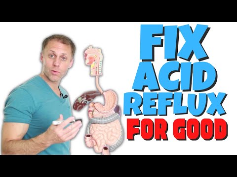 Understanding Acid Reflux | Fix Heartburn Naturally
