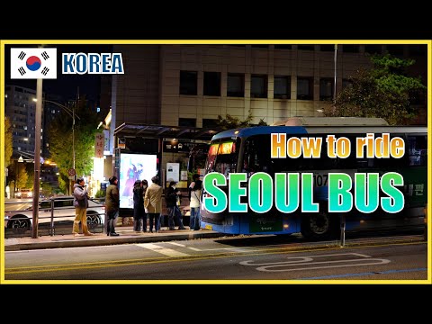 🇰🇷 How to Ride the Bus in Seoul | Fares, Transfers, and Using Transportation Cards