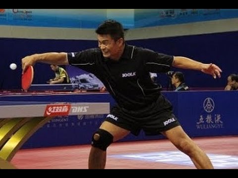 Chen Weixing - Attacking Chopper (Longpips Defender)