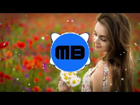 Bounce | WYLEN - Get This!