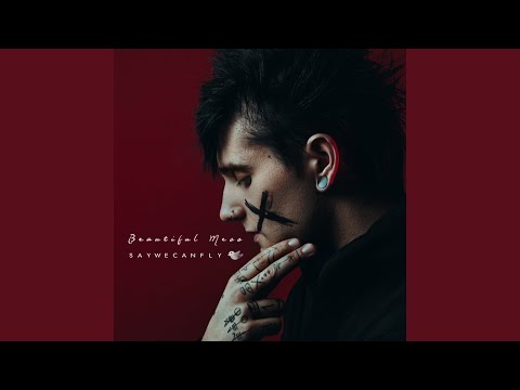 If I Had an Airplane