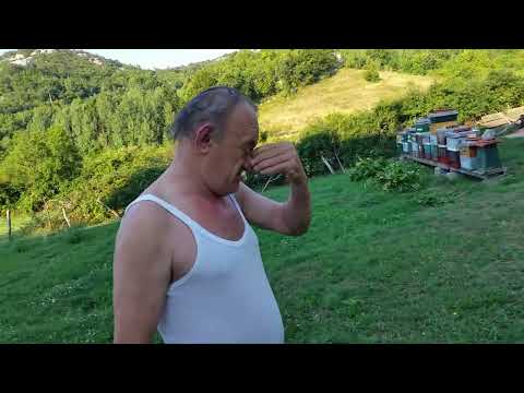 Tojaga rano rani da meda ugrabi