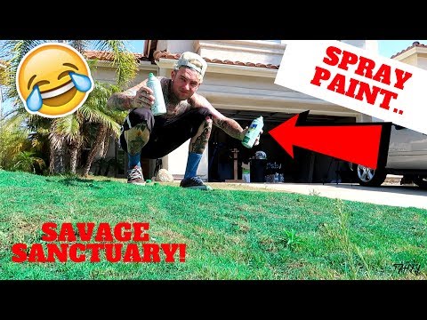 I RUINED THE FRONT YARD OF THE NEW HOUSE! *PAINTED THE GRASS GREEN*