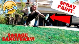 I RUINED THE FRONT YARD OF THE NEW HOUSE! *PAINTED THE GRASS GREEN*