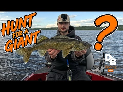 CAN I FIND A BIG WALLEYE? | SHARP SHOOTING WALLEYE