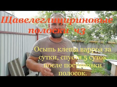 Щавелеглицириновые полоски ч3