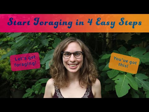 Learn How to Start Foraging Safely in 4 Easy Steps