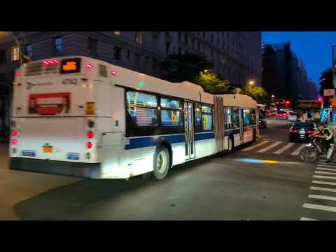M86 Bus