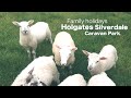 Family Camping Vacation In Holgates Silverdale Park