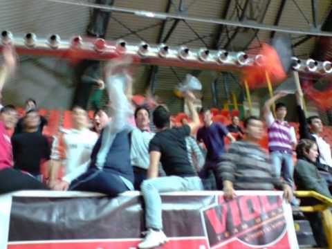 Team Basket Viola RC