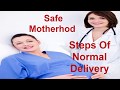 Normal Delivery Steps And Management