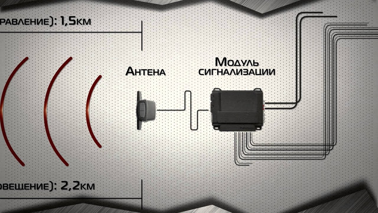 Pandora 3257 отличие от 3297