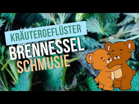 Brennnessel-Smoothie: Der kraftvolle grüne Genuss!