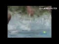 Sesame Street Underwater Letter S