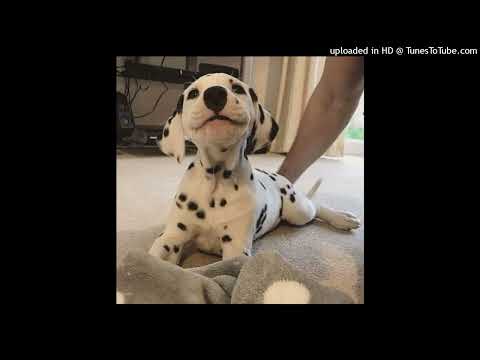 fendiglock + 4nway + newjazz type beat "Характер" @Ronta