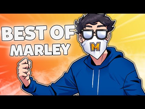 Marley's BEST OF 2023 - Rainbow Six Siege