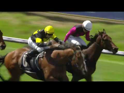 Race 5 - Ascot - 25/10/2025